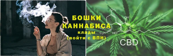 прущий лед Гусев