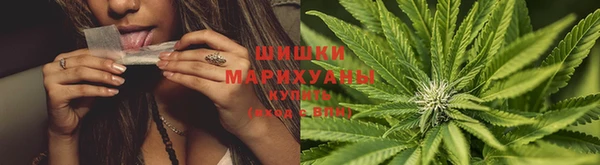 дурь Дмитровск