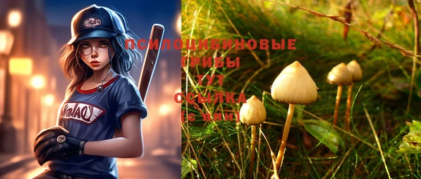дурь Дмитровск