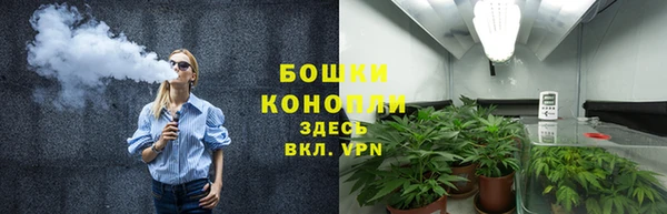 дурь Дмитровск