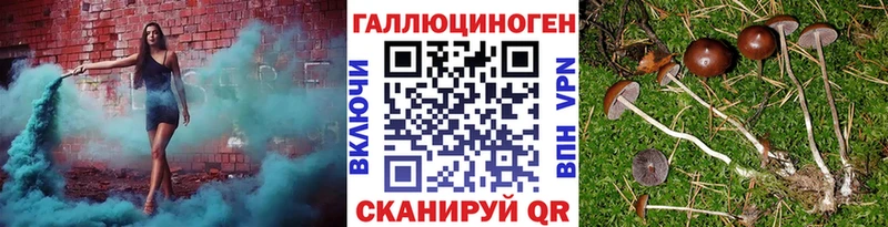 закладки Нефтегорск Псилоцибиновые грибы MAGIC MUSHROOMS